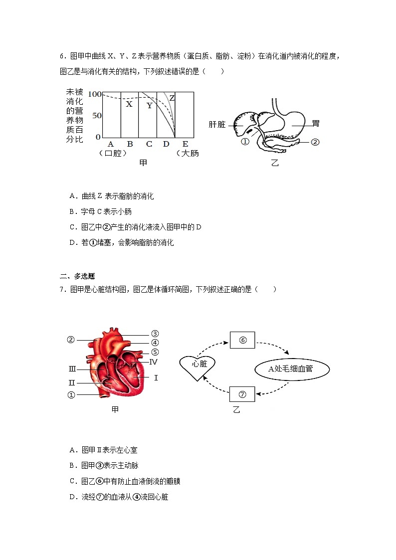 2025年四川省广元市八年级学业水平考试暨高中阶段学校招生考试生物模拟试卷（四）（附答案解析）第2页
