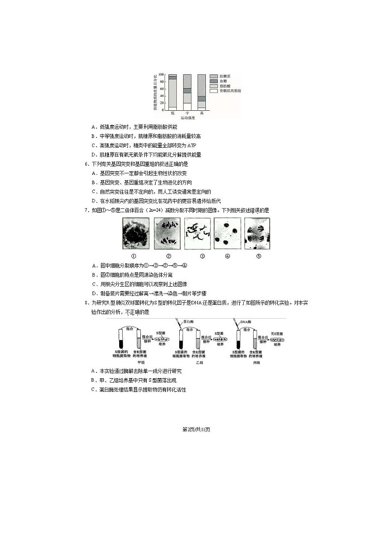 2023-2024学年北京房山区高一下学期期末生物试题及答案第2页