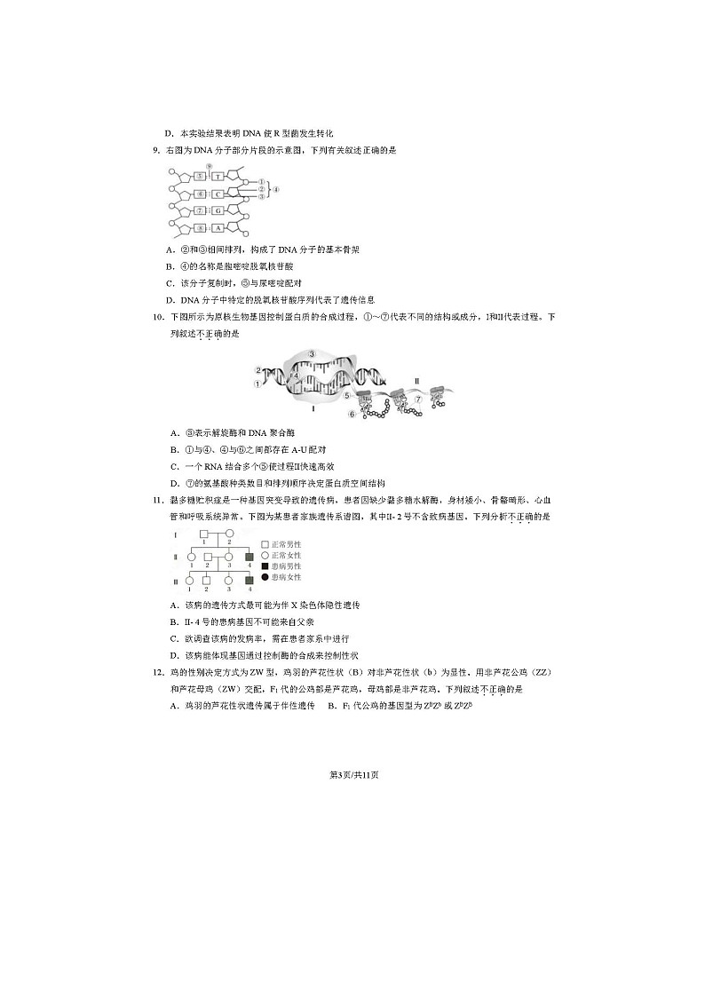 2023-2024学年北京房山区高一下学期期末生物试题及答案第3页