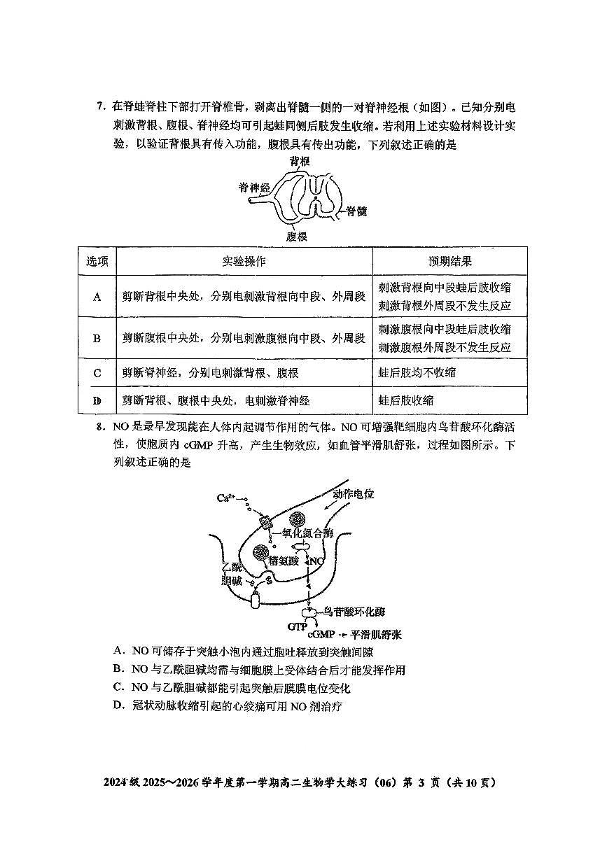 吉林省长春市东北师大附中2025-2026学年高二上学期阶段测试生物试题 （月考）第3页