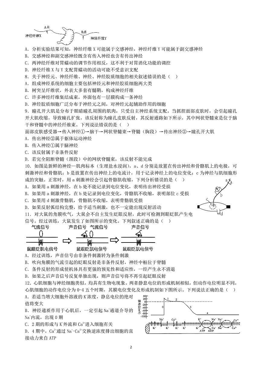 四川省成都市第七中学2025-2026学年高二上学期10月生物阶段测试试卷 第2页