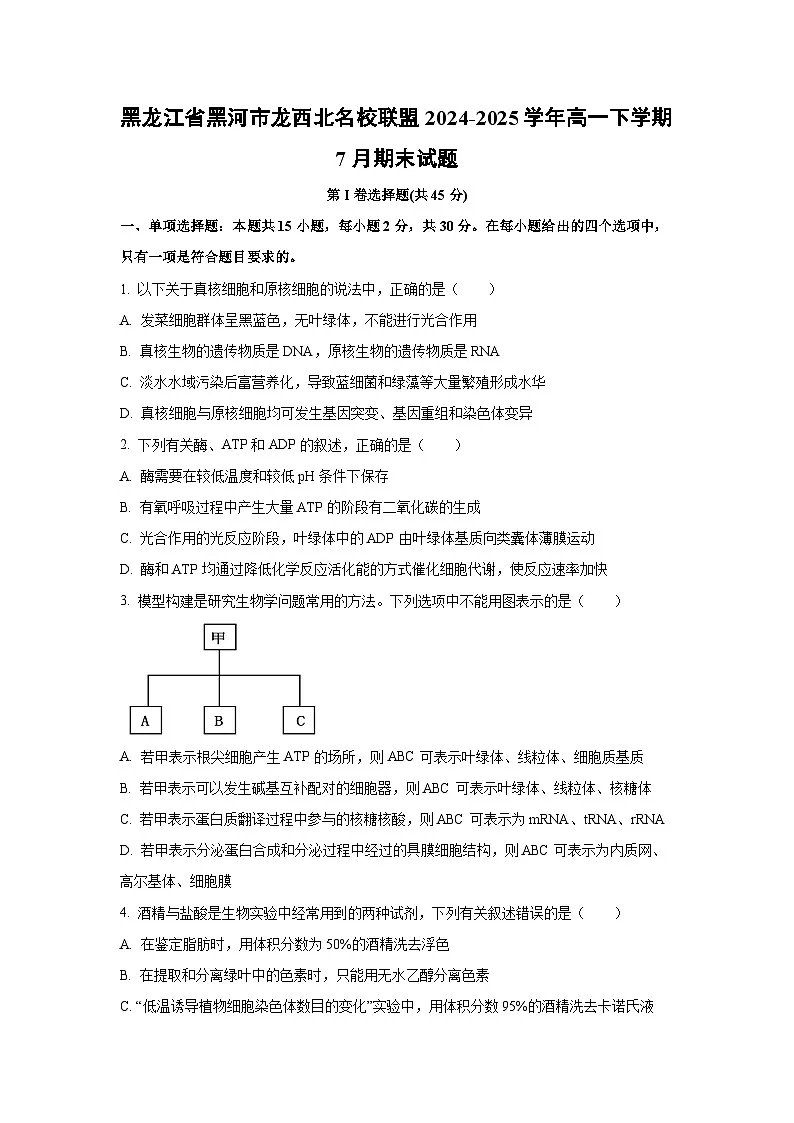 【生物】黑龙江省黑河市龙西北名校联盟2024-2025学年高一下学期7月期末试题（学生版）第1页