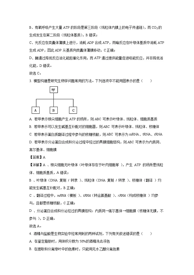 【生物】黑龙江省黑河市龙西北名校联盟2024-2025学年高一下学期7月期末试题（解析版）第2页