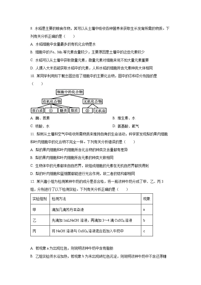 【生物】江西省多校联考2024-2025学年高一上学期10月月考试题（学生版）第3页