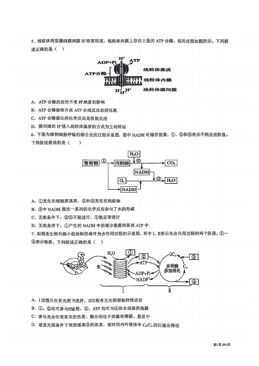 2025年黑龙江省实验中学高三（上）10月考生物试卷及答案第2页