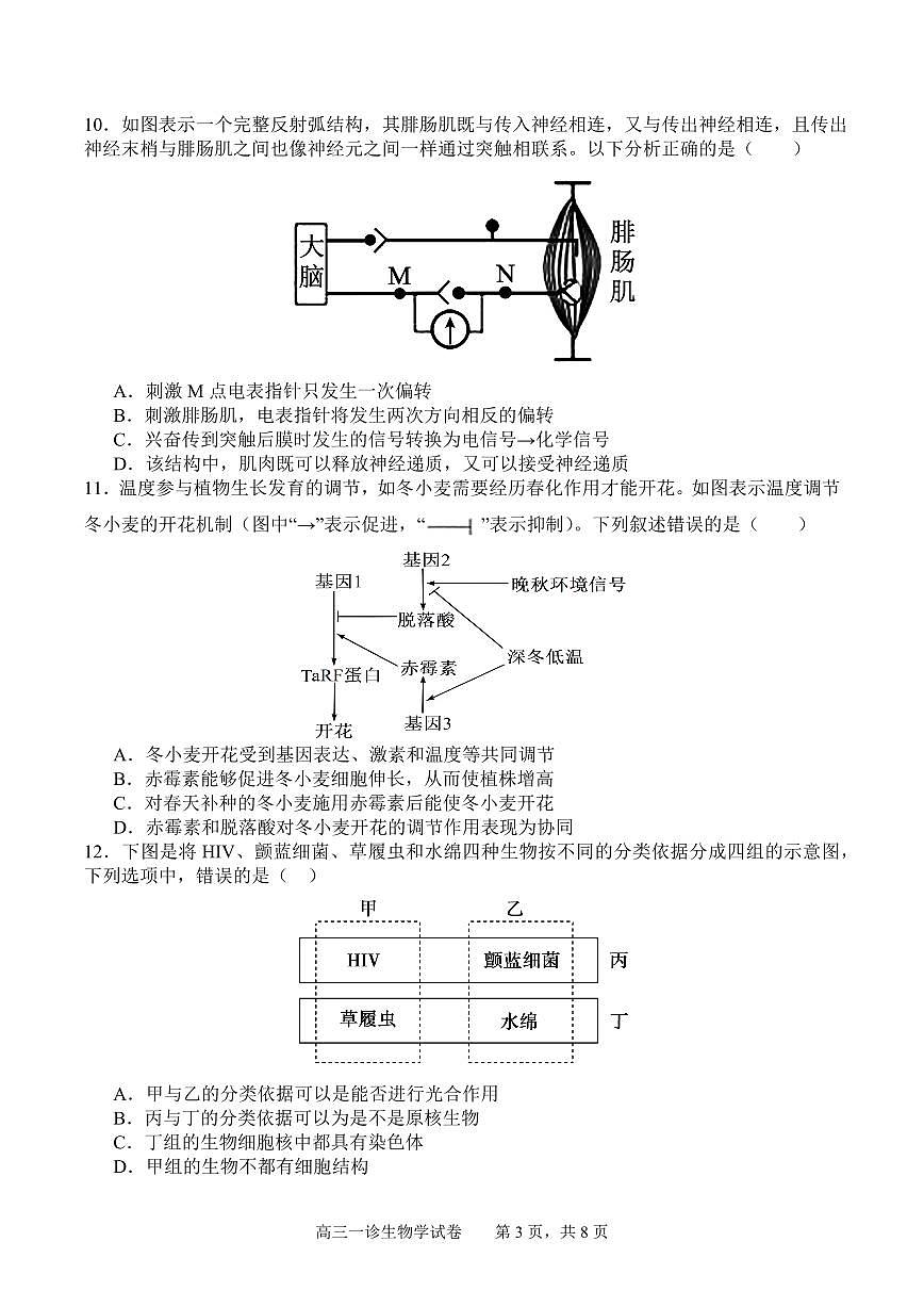 四川省字节精准教育联盟2026届高三上学期10月第一次诊断考生物试题+答案第3页