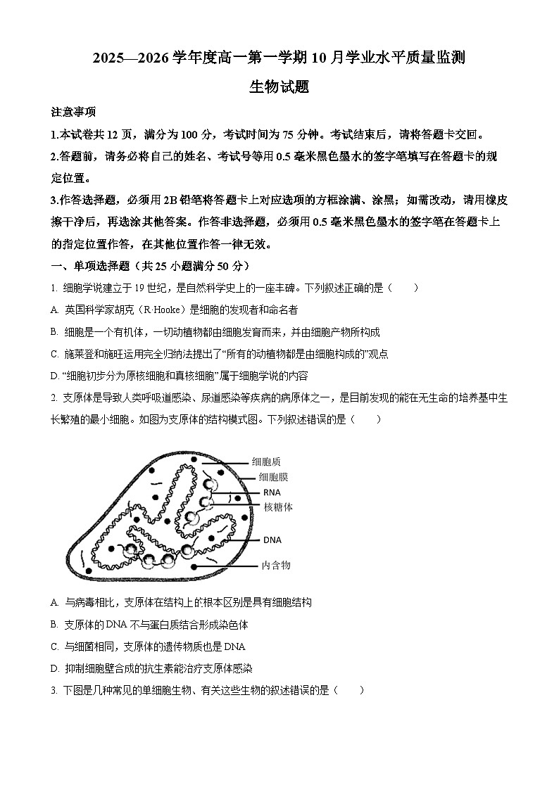 江苏省连云港市赣榆区新海高级中学2025-2026学年高一上学期10月月考生物试题（原卷版）第1页