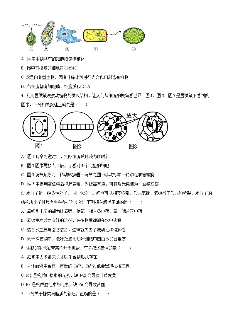 江苏省连云港市赣榆区新海高级中学2025-2026学年高一上学期10月月考生物试题（原卷版）第2页