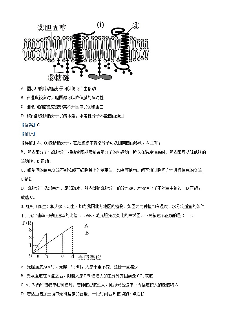 山西省太原市山西大学附属中学2025-2026学年高三上学期10月考试生物试题第2页