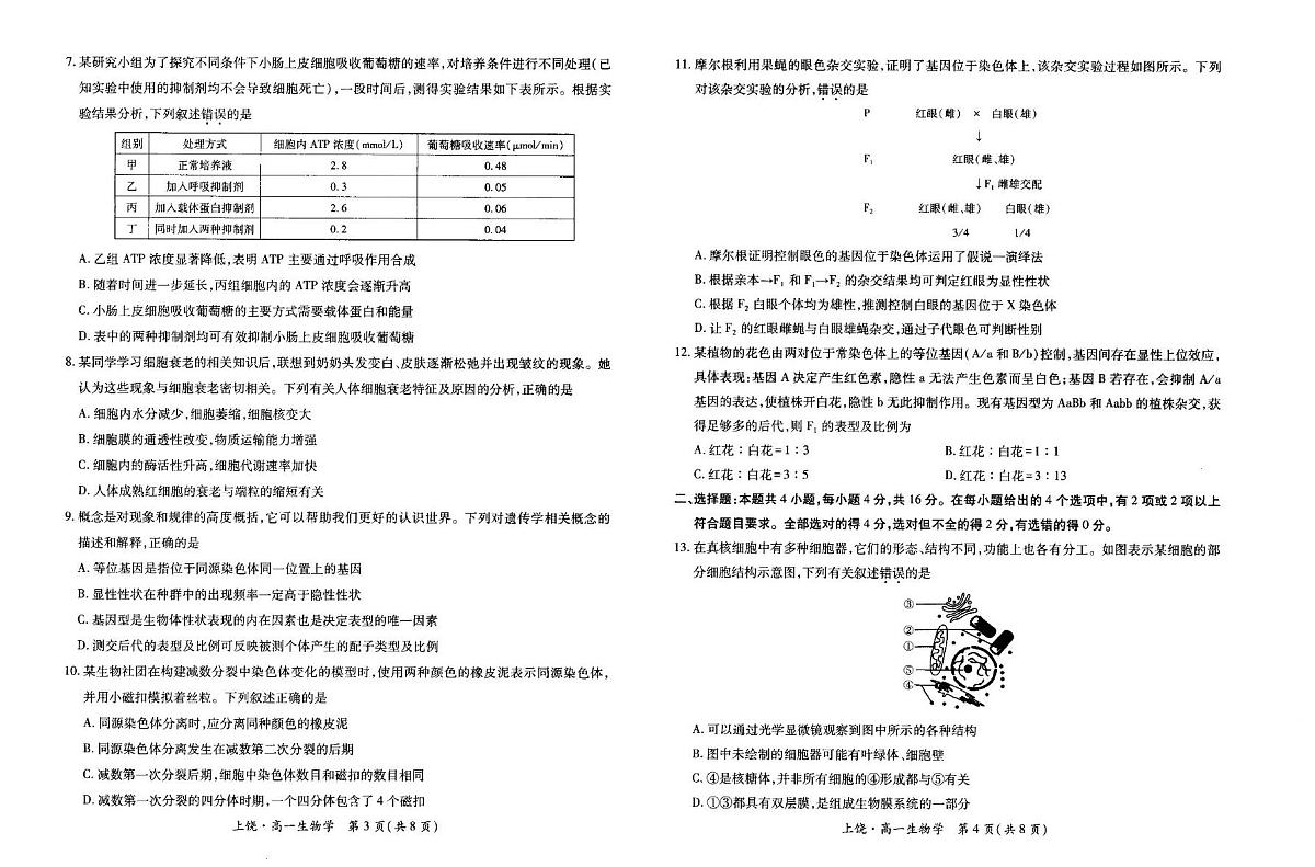 江西省上饶市六校2024-2025学年高一下学期5月第一次联合考试生物试卷第2页