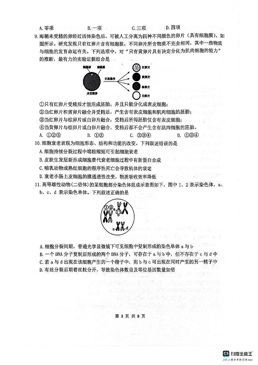四川省绵阳南山中学2026届高三上学期10月一诊热身考生物试题+答案第3页