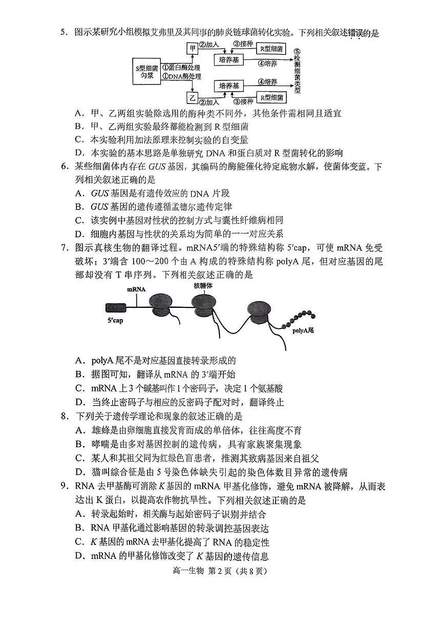 江苏省苏州市2024-2025学年高一下学期学业质量阳光指标调研生物试卷+答案第2页