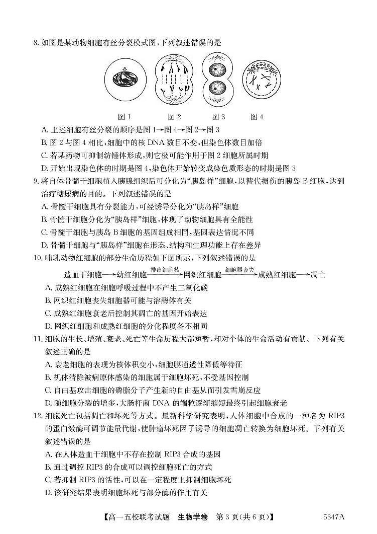 广东省惠州仲恺中学等五校2024-2025学年高一下学期4月联考生物试卷（有答案）第3页