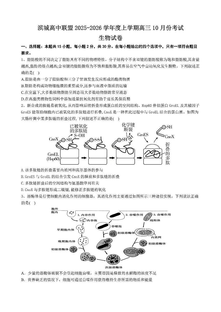 生物-辽宁省大连市滨城高中联盟2026届高三上学期期中试题及答案第1页