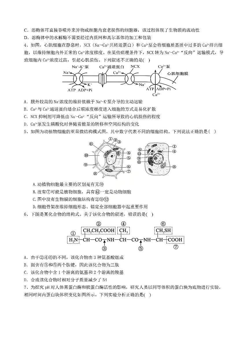 生物-辽宁省大连市滨城高中联盟2026届高三上学期期中试题及答案第2页