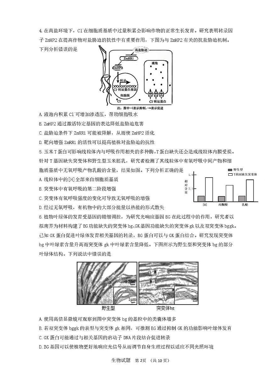 山东省师范大学附中2026届高三上学期10月份阶段考生物试题+答案第2页