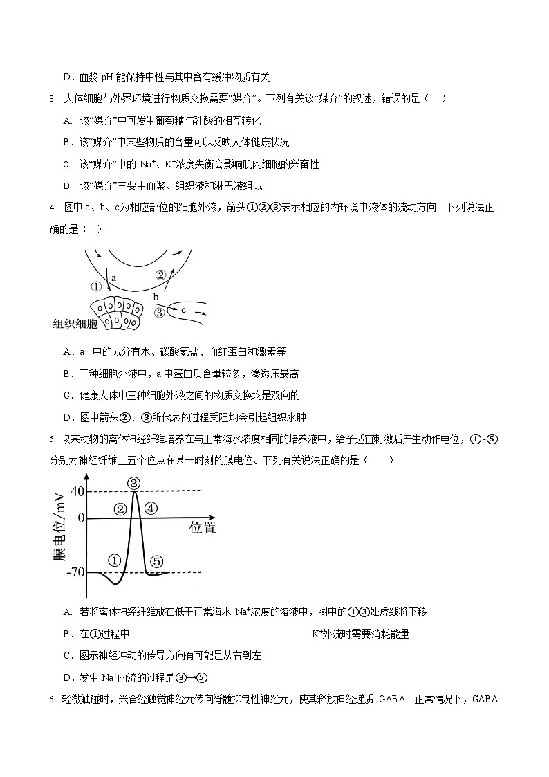 辽宁省沈阳市第一二O中学2025-2026学年高二上学期10月考试生物试卷第2页