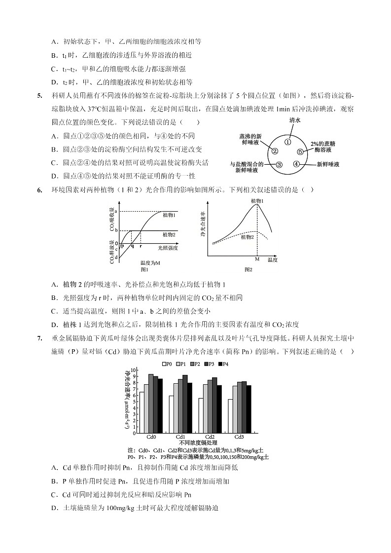 重庆实验外国语学校2025-2026学年高三上学期10月考试生物试卷第2页