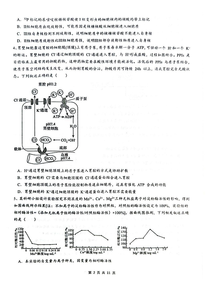 乌鲁木齐市第一中学2025-2026学年2026届高三年级10月考试生物试卷第2页
