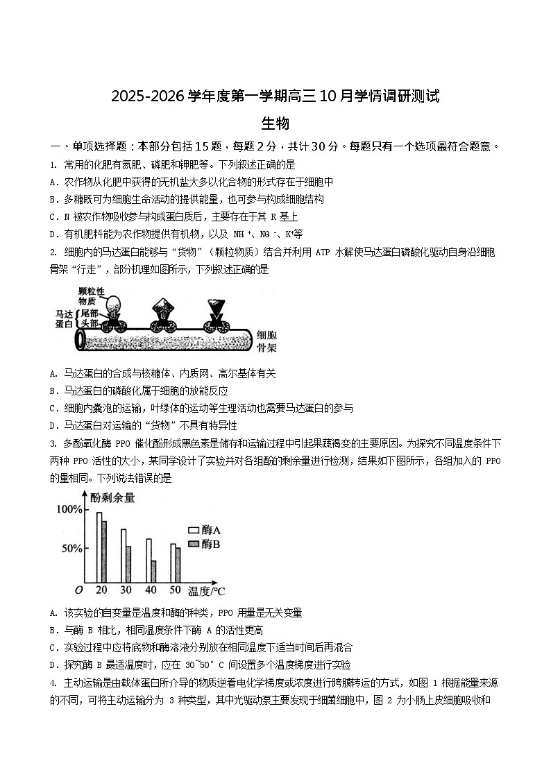 江苏省扬州市高邮市2026届高三上学期10月学情调研考试 生物试卷第1页