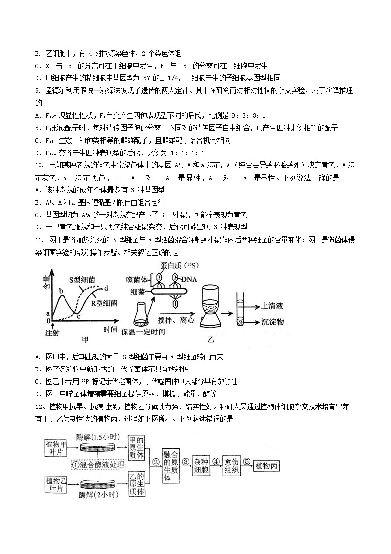 江苏省扬州市高邮市2026届高三上学期10月学情调研考试 生物试卷第3页