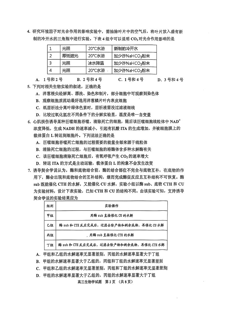 吉林省吉林市2025-2026学年高三上学期10月考试生物试卷第2页