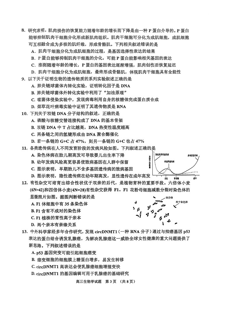 吉林省吉林市2025-2026学年高三上学期10月考试生物试卷第3页