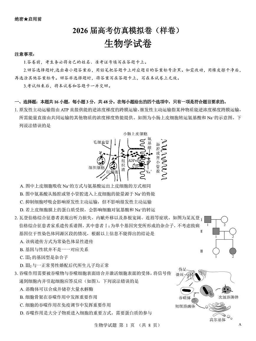 名校教研联盟2026届高考仿真模拟卷（样卷）生物试卷+答案第1页