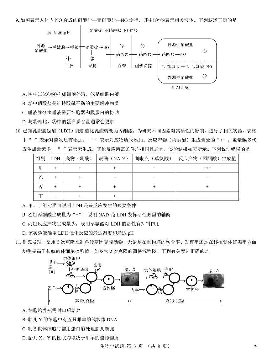名校教研联盟2026届高考仿真模拟卷（样卷）生物试卷+答案第3页