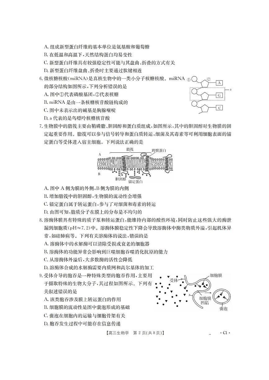 辽宁省金太阳2026届高三上学期10月联考（26-66C）生物试题+答案第2页
