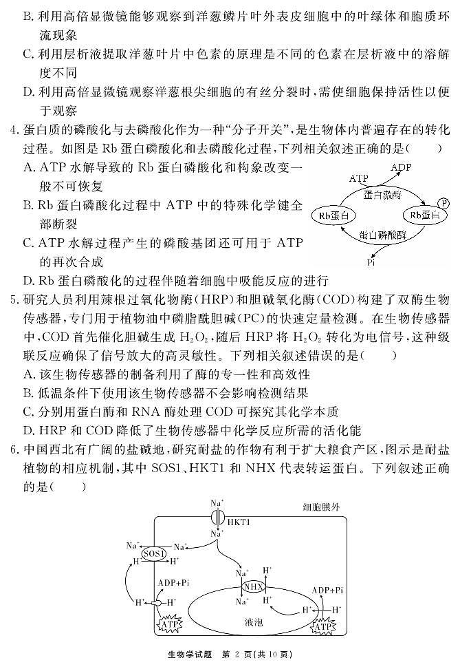 安徽省2025-2026学年度“耀正优”高三年级10月阶段检测生物第2页