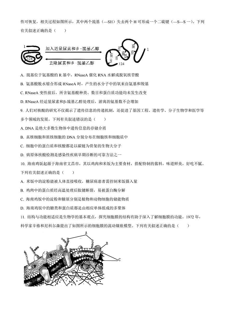2024—2025学年上学期海南高一上册期中考试生物试卷含答案第3页