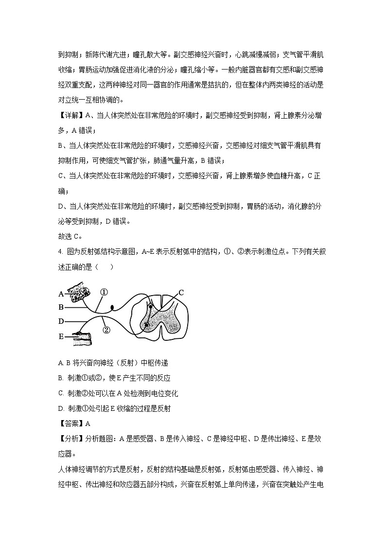 【生物】江苏省镇江市某重点高中2025-2026学年高二上学期9月质量检测（解析版）第3页