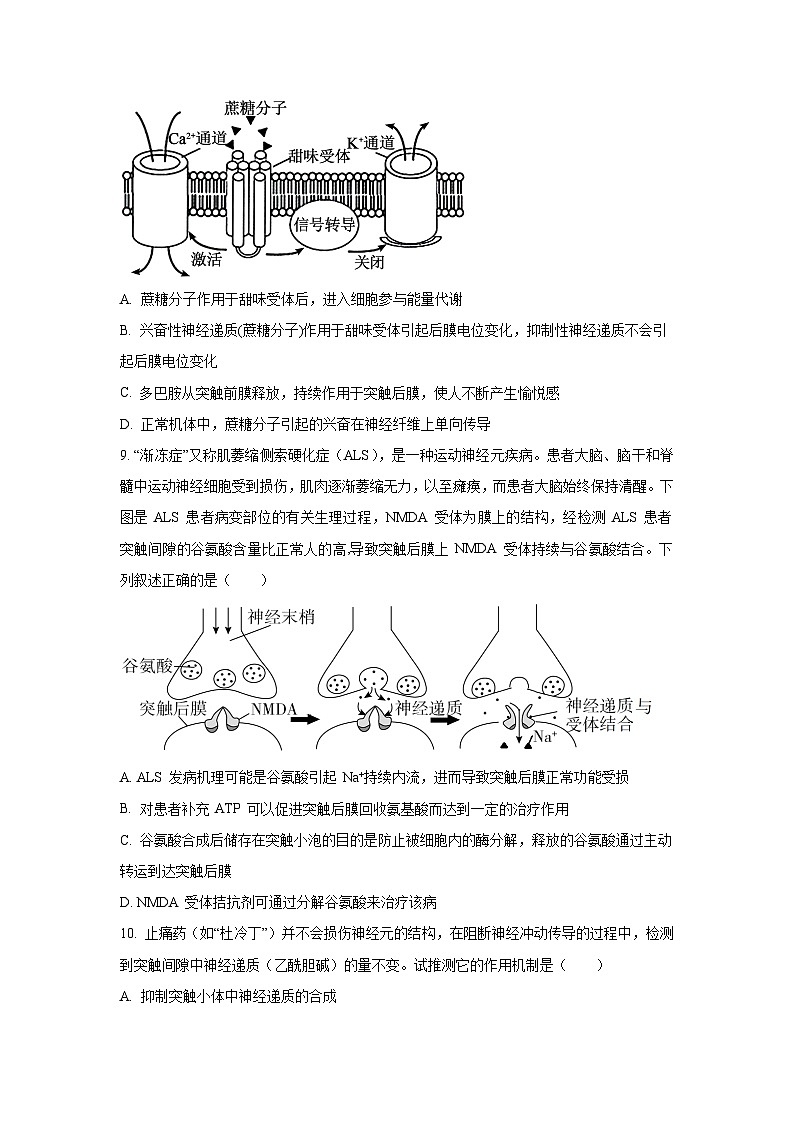 【生物】江西省赣州市上犹、大余、崇义三县联考2025-2026学年高二上学期10月月考（学生版） 第3页