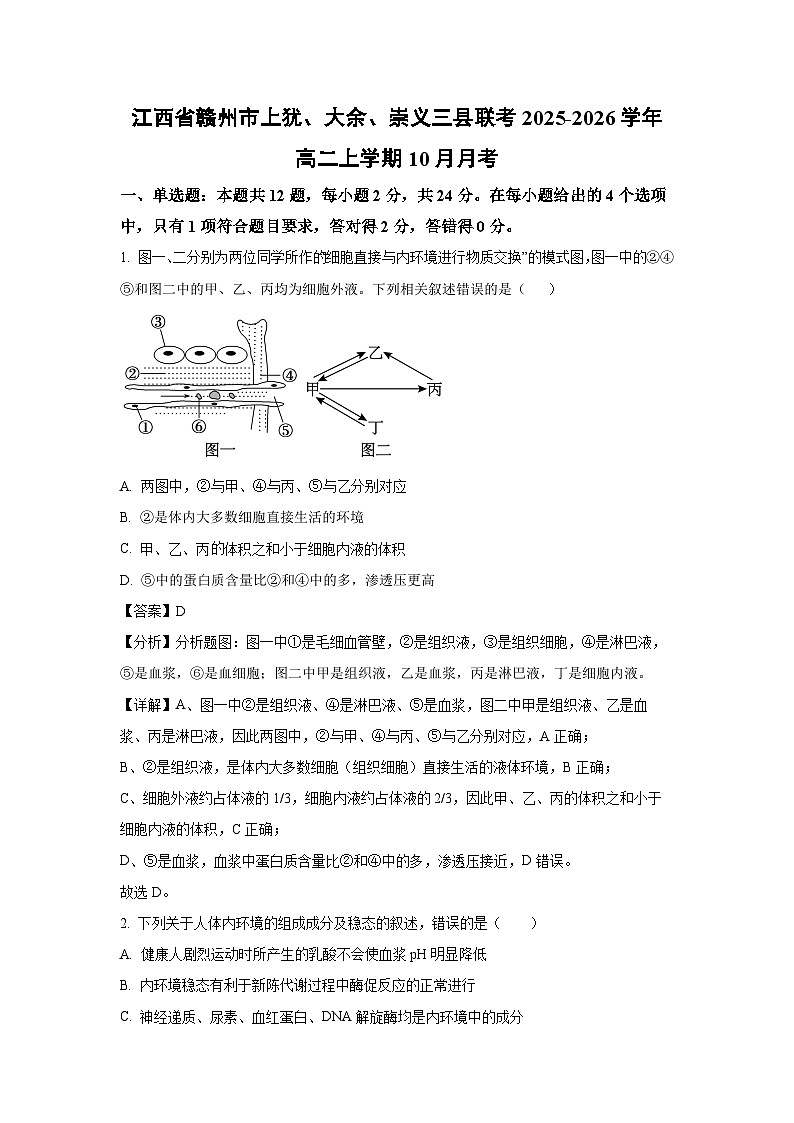 【生物】江西省赣州市上犹、大余、崇义三县联考2025-2026学年高二上学期10月月考（解析版）第1页