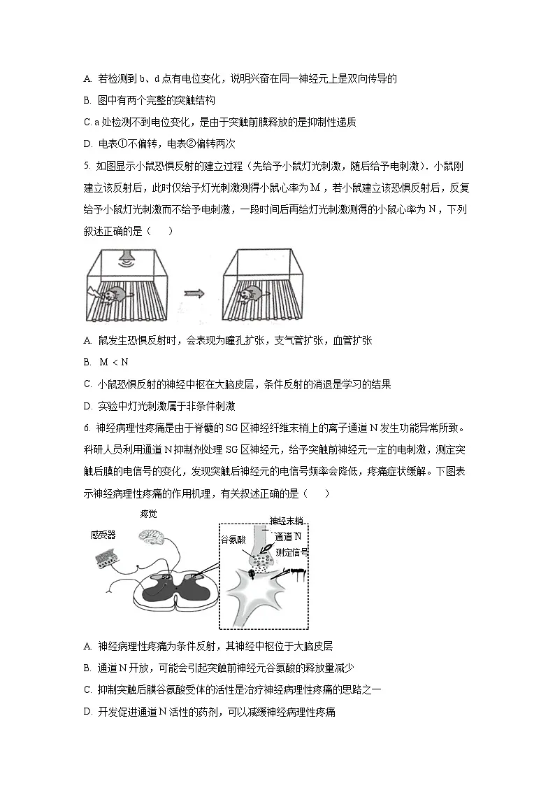 【生物】山东省潍坊市某校2025-2026学年高二上学期10月月考（学生版） 第2页