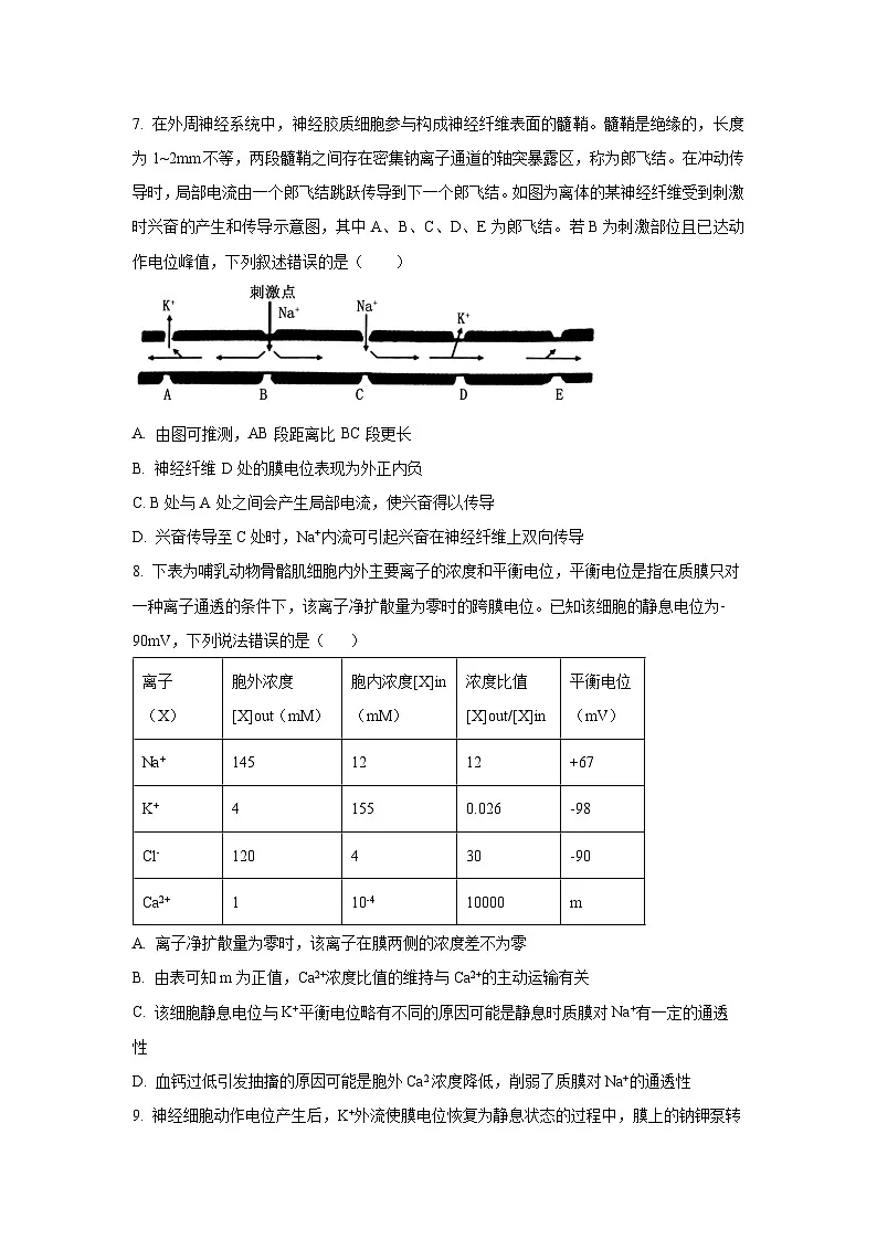 【生物】山东省潍坊市某校2025-2026学年高二上学期10月月考（学生版） 第3页