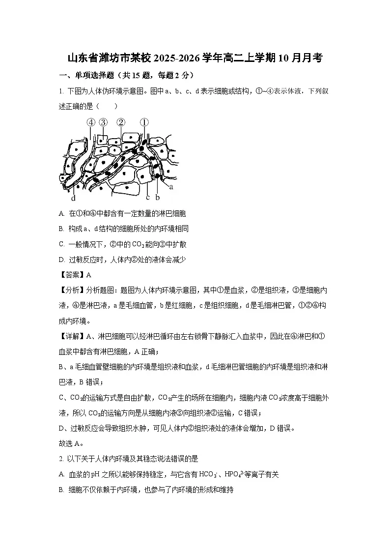 【生物】山东省潍坊市某校2025-2026学年高二上学期10月月考（解析版）第1页