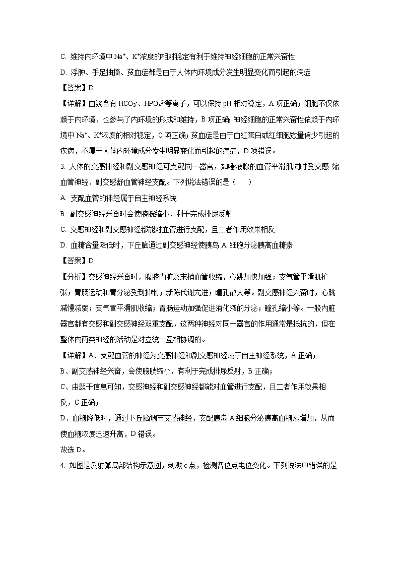 【生物】山东省潍坊市某校2025-2026学年高二上学期10月月考（解析版）第2页
