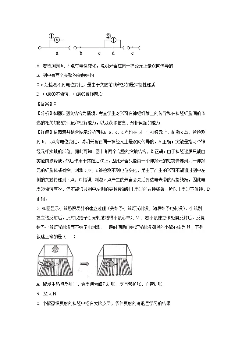 【生物】山东省潍坊市某校2025-2026学年高二上学期10月月考（解析版）第3页