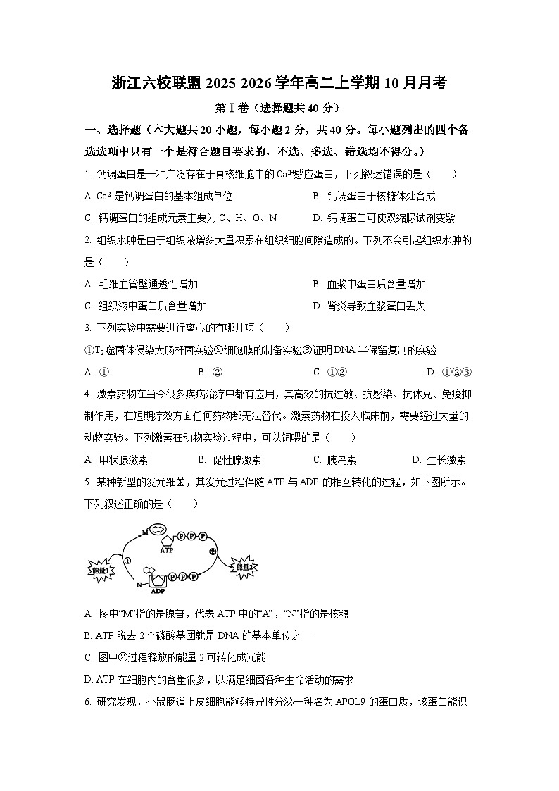 【生物】浙江六校联盟2025-2026学年高二上学期10月月考（学生版） 第1页