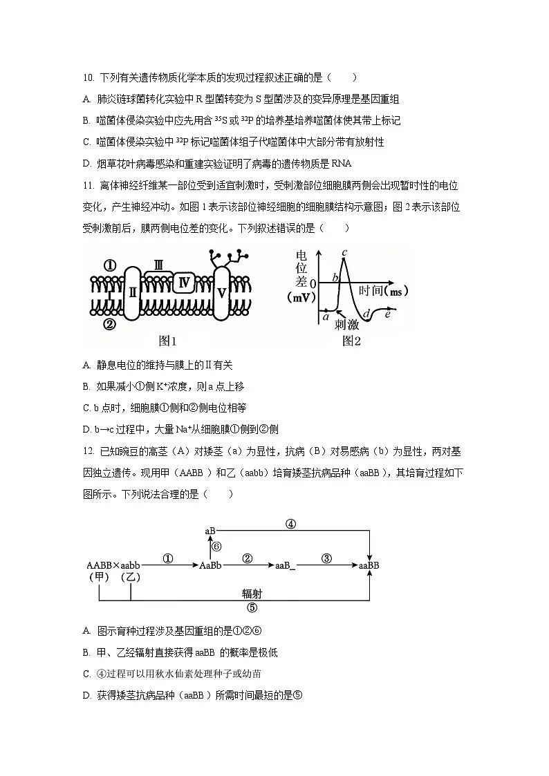 【生物】浙江六校联盟2025-2026学年高二上学期10月月考（学生版） 第3页