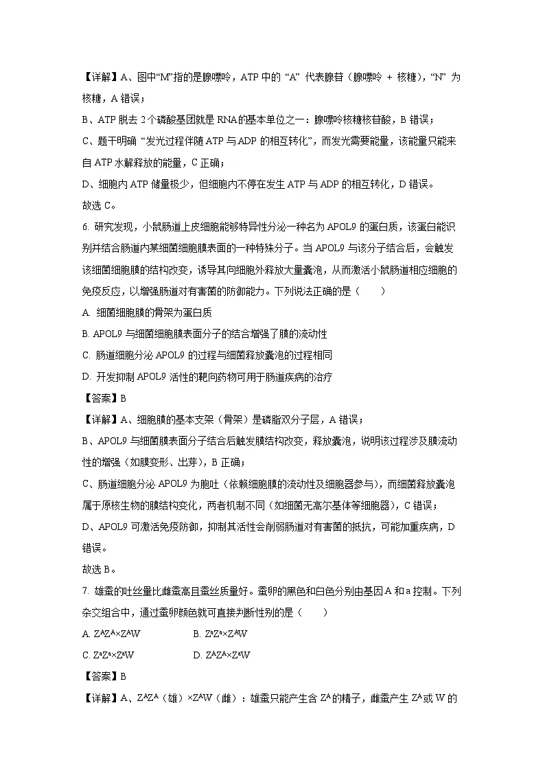 【生物】浙江六校联盟2025-2026学年高二上学期10月月考（解析版）第3页