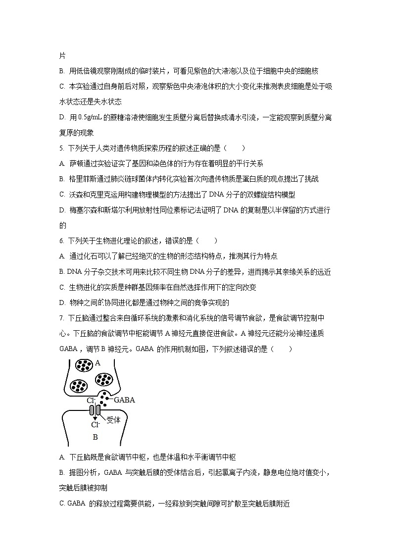 山西省长治市2025-2026学年高三上9月月考生物试卷（学生版）第2页