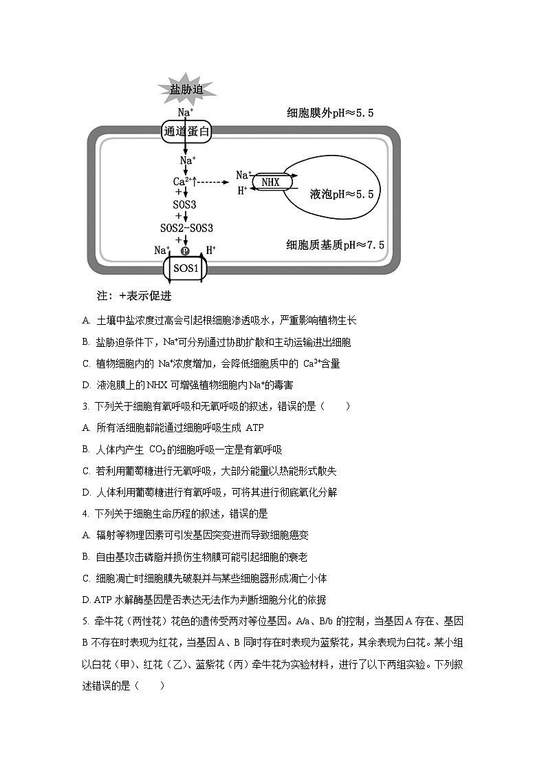 陕西省汉中市2025-2026学年高三上学期开学摸底考试生物试卷（学生版）第2页