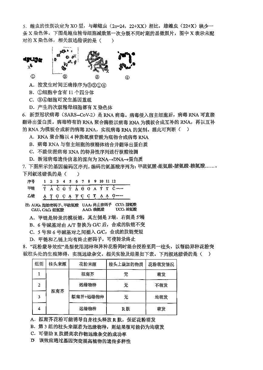 北京市人大附中2025-2026学年高三上学期练习3生物试题（月考）第2页