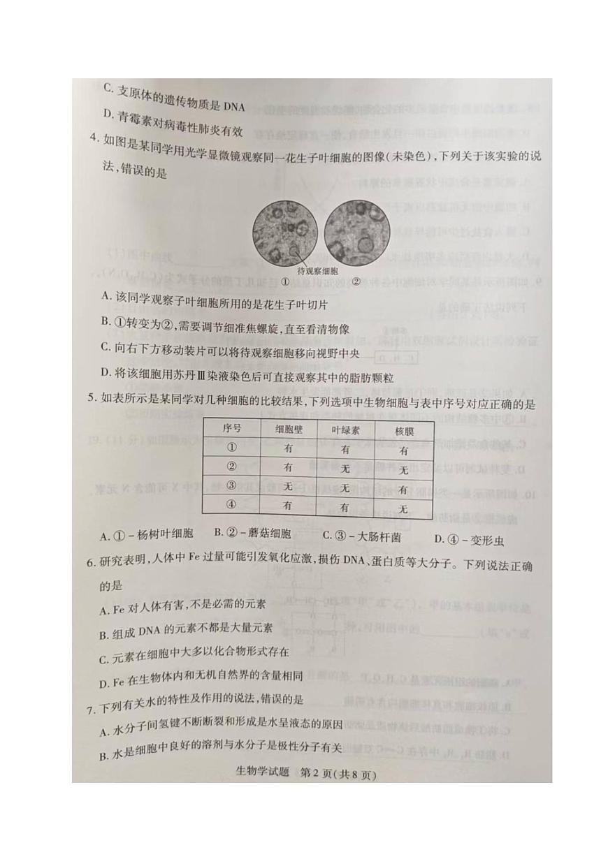 河南省部分名校2025-2026学年高一上学期阶段性测试（一）生物试卷（月考）第2页