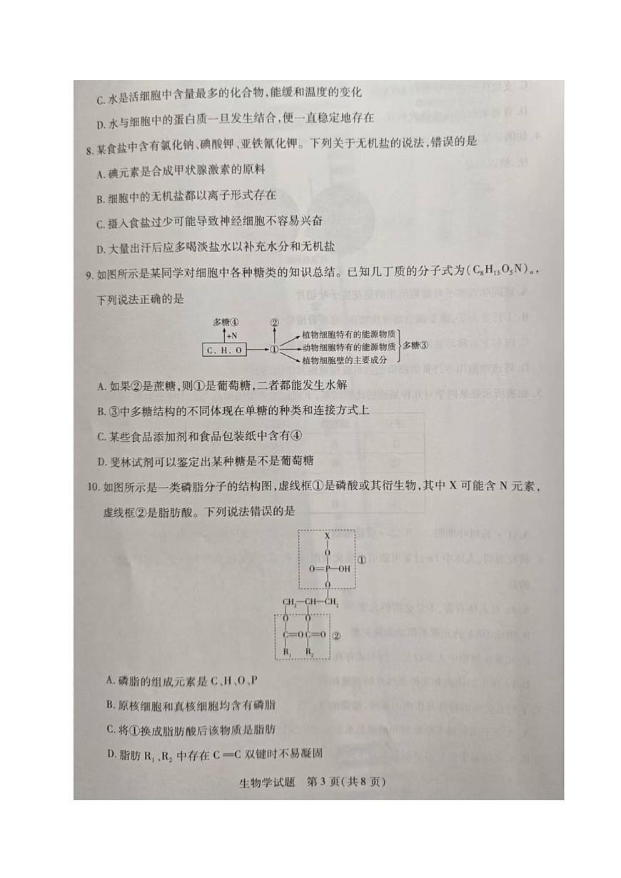 河南省部分名校2025-2026学年高一上学期阶段性测试（一）生物试卷（月考）第3页