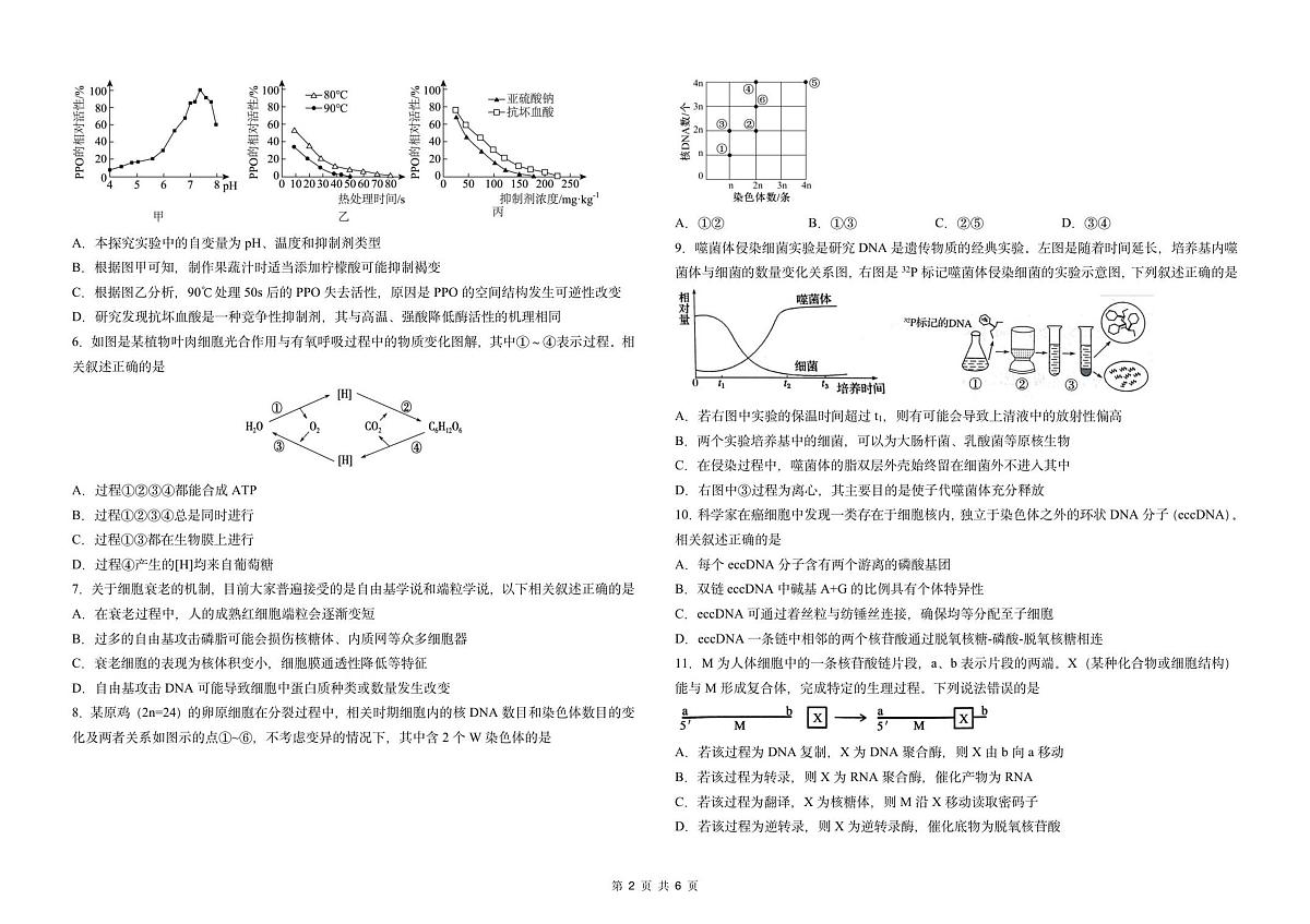 吉林省东北师大附中2026届高三上学期10月第一次摸底考生物试题无答案第2页