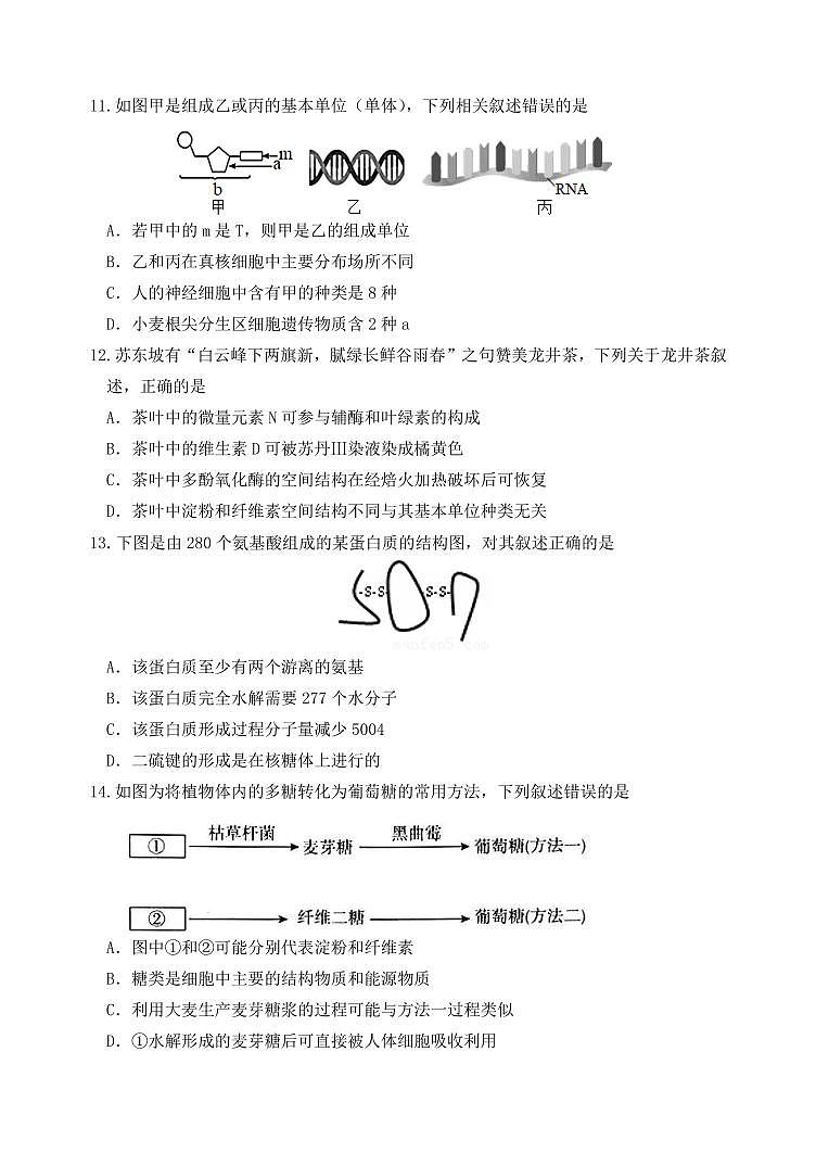 辽宁省沈阳市东北育才高中2025--2026学年度上学期高一第一次月考生物试卷+答案第3页